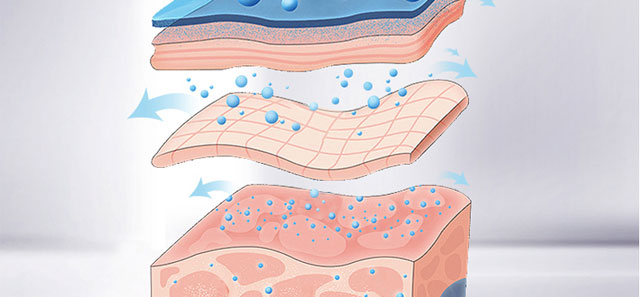 �������o(h��)��Ĥ