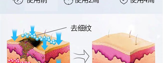 ���������o(h��)˪