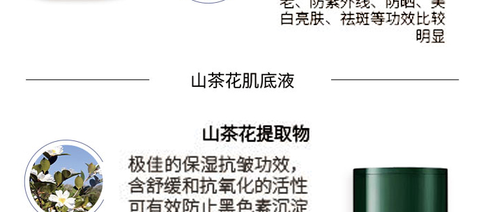 ɽ�軨ֲ�ͱ�����