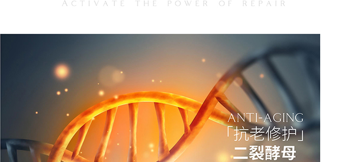 ����Ȫ�݌�������˪