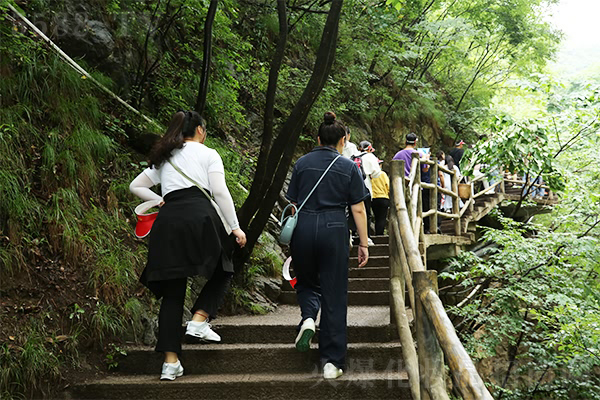 �I(l��ng)�ԇ��W(xu��)֮�������������ǻ�