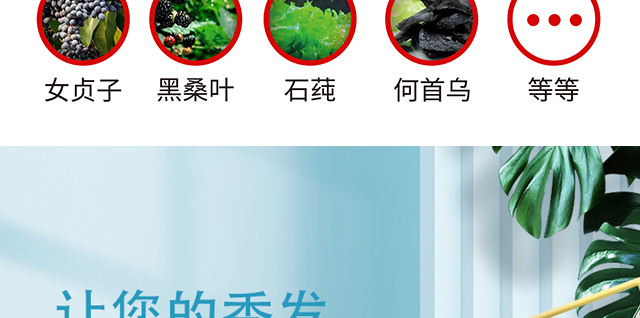 ���լ������o�l(f��)˪