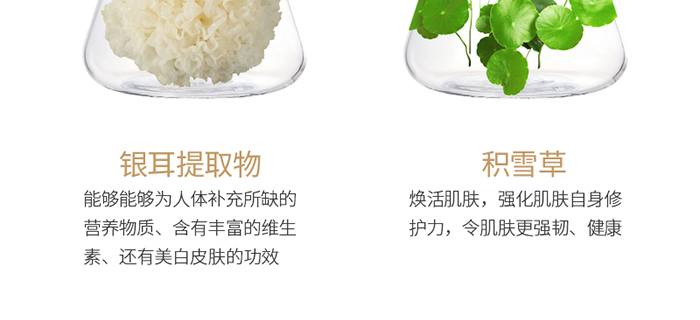 ���ǉ�(m��ng)�ɼ���͸�B(y��ng)�o(h��)��