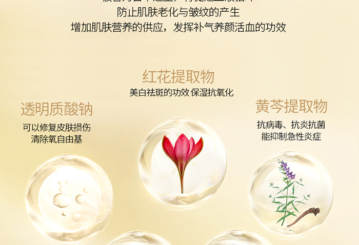 ���w���A˪