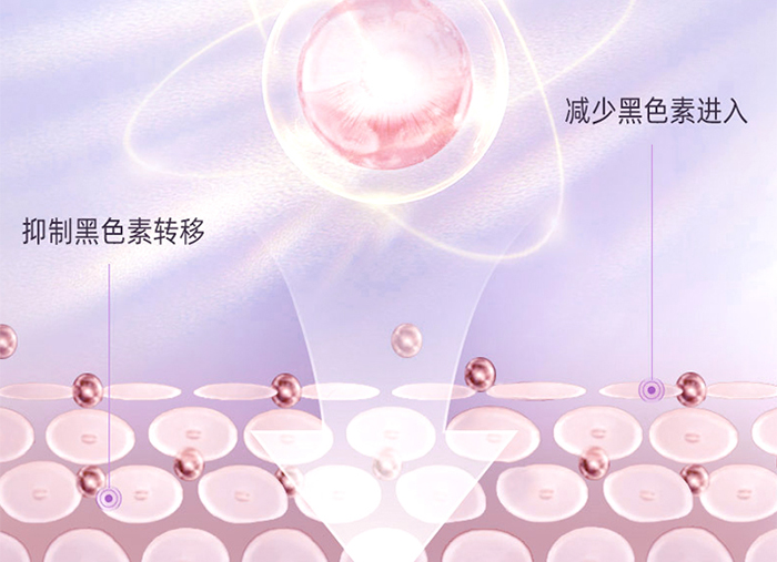 ��������˪