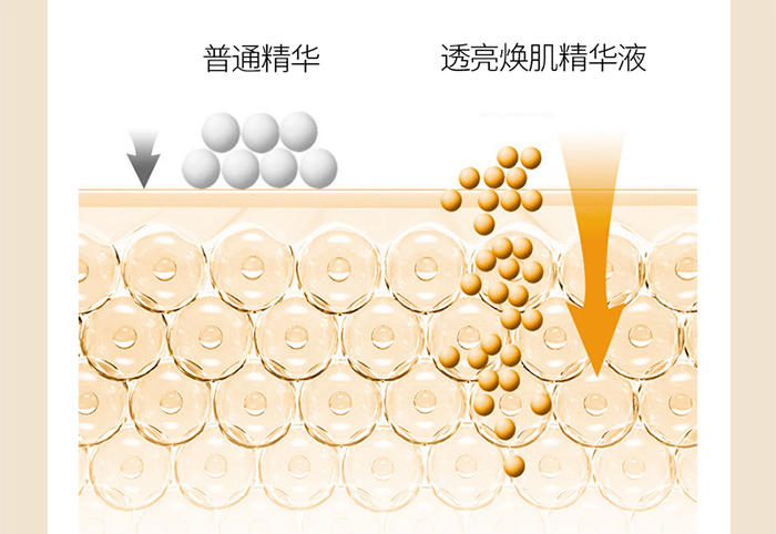 Ԕ��-͸���������AҺ