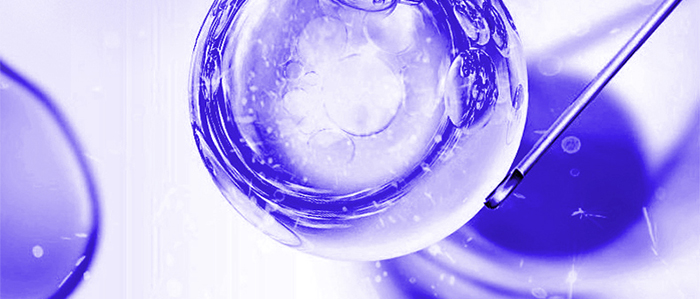 Piccoch�����ɷ��׺�