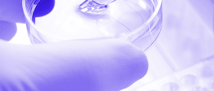 Piccoch�����ɷ��׺�