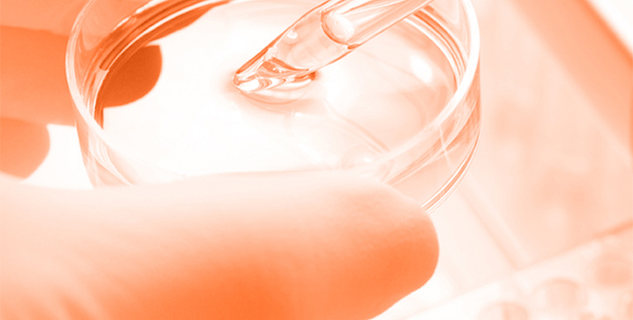 Piccoch����ݝ�(r��n)���ɷ��׺�