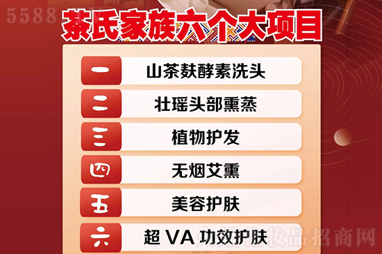 茶氏家族六個項目 茶氏家族六個項目