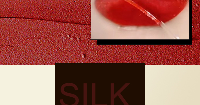 ��֦��z���ό���治մ���ڼt